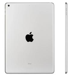 Apple iPad 10,2" (2021) Wi-Fi + Cellular 64 ГБ, Silver (серебристый)