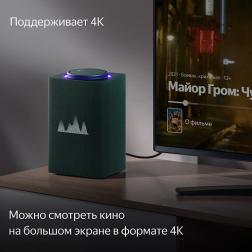 Умная колонка Яндекс Станция Макс с Алисой, с Zigbee, зеленый, 65Вт (YNDX-00053Z)